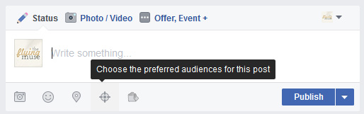 choose the prefered audience for your post Facebook Chose the prefered audience for your post - Facebook business page
